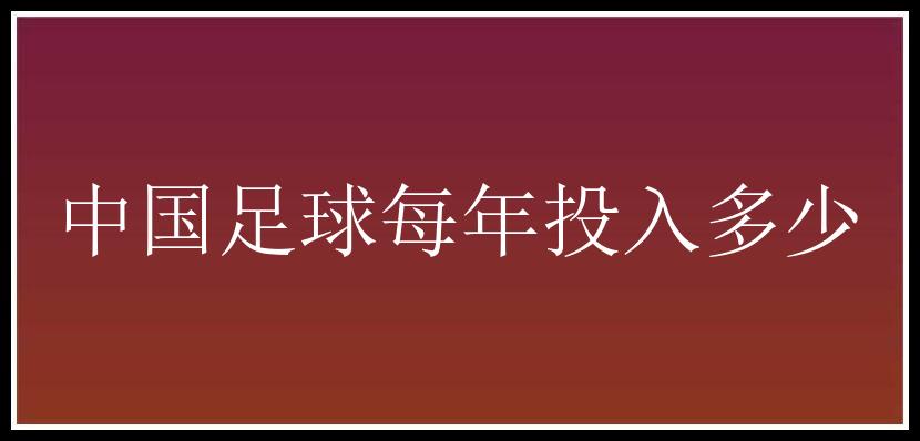 中国足球每年投入多少