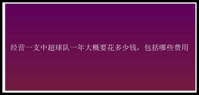 经营一支中超球队一年大概要花多少钱，包括哪些费用