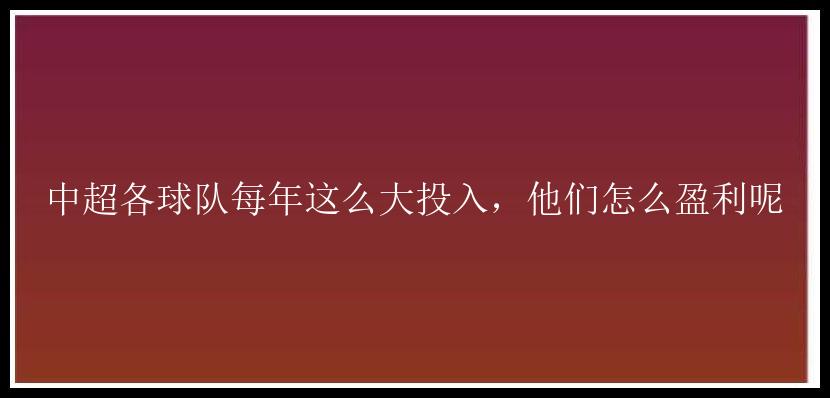 中超各球队每年这么大投入，他们怎么盈利呢