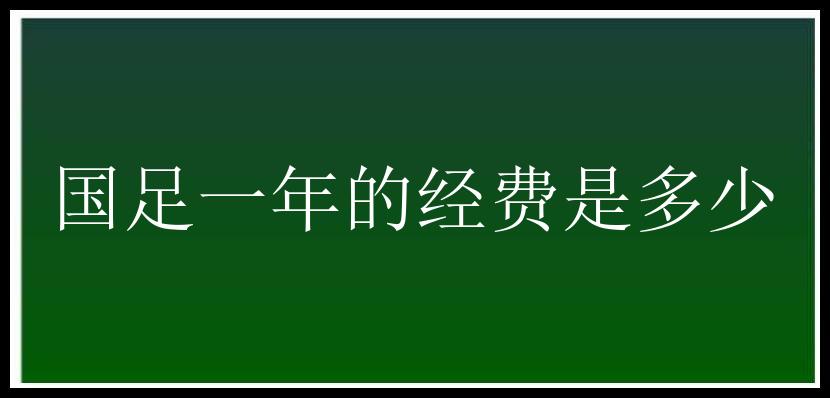 国足一年的经费是多少