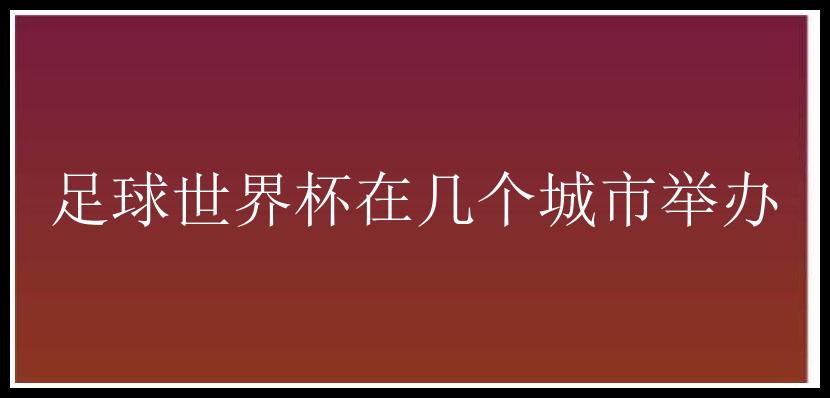 足球世界杯在几个城市举办