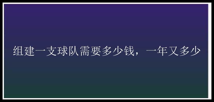 组建一支球队需要多少钱，一年又多少