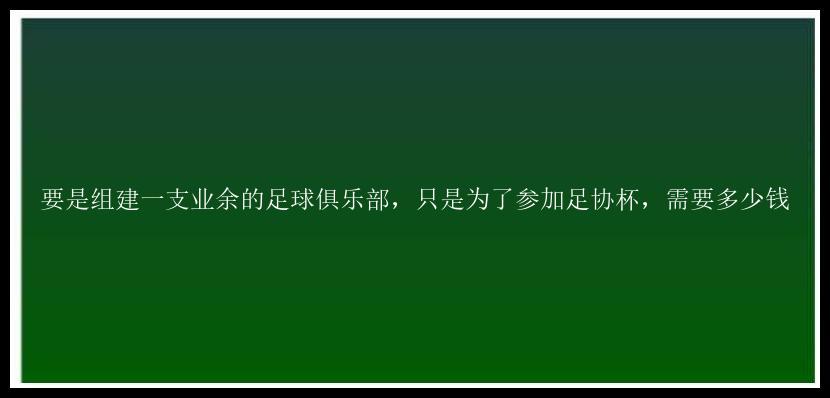 要是组建一支业余的足球俱乐部，只是为了参加足协杯，需要多少钱