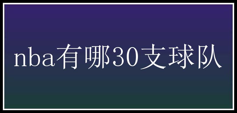 nba有哪30支球队