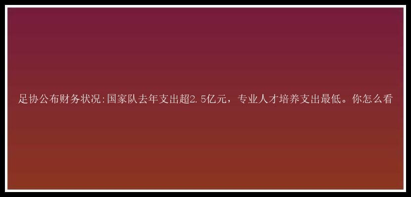 足协公布财务状况:国家队去年支出超2.5亿元，专业人才培养支出最低。你怎么看