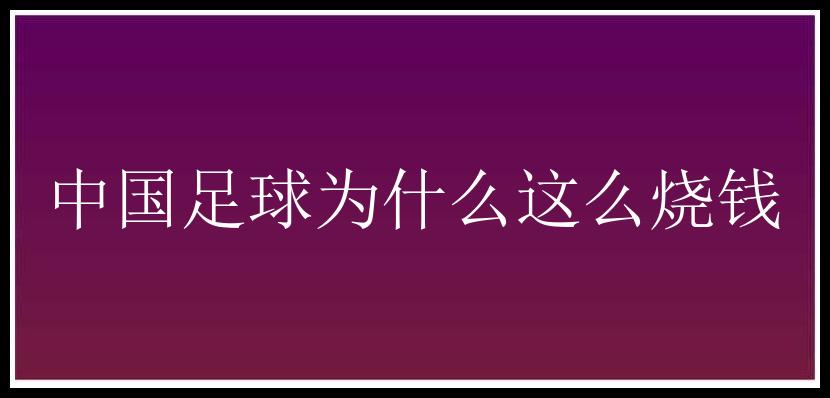 中国足球为什么这么烧钱