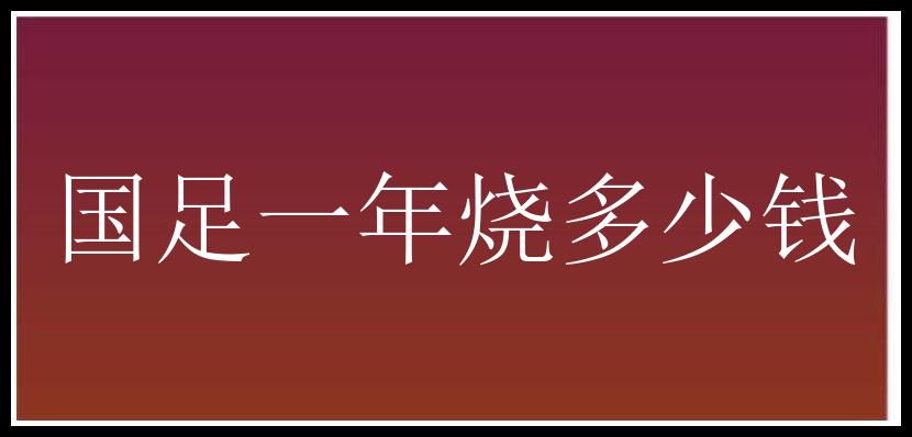 国足一年烧多少钱