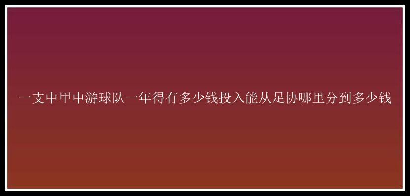 一支中甲中游球队一年得有多少钱投入能从足协哪里分到多少钱