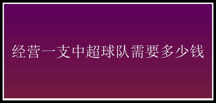 经营一支中超球队需要多少钱