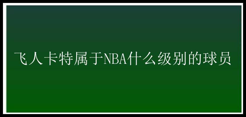 飞人卡特属于NBA什么级别的球员