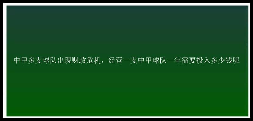 中甲多支球队出现财政危机，经营一支中甲球队一年需要投入多少钱呢