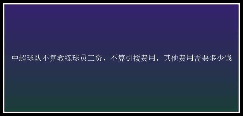 中超球队不算教练球员工资，不算引援费用，其他费用需要多少钱