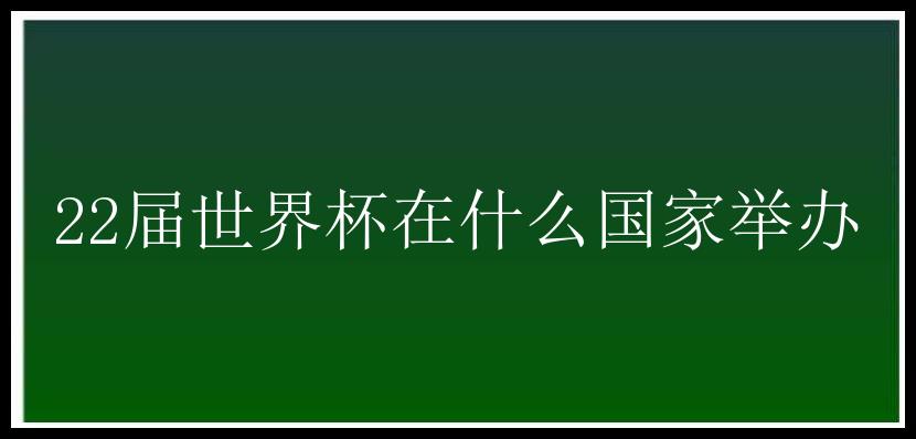 22届世界杯在什么国家举办