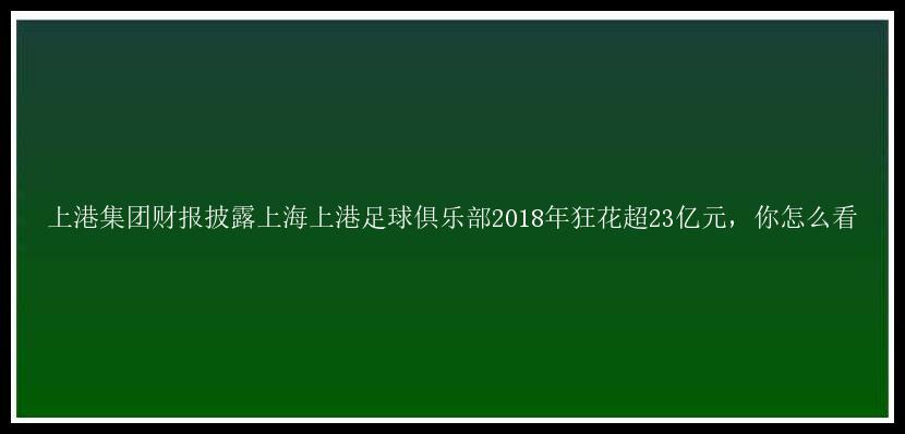 上港集团财报披露上海上港足球俱乐部2018年狂花超23亿元，你怎么看