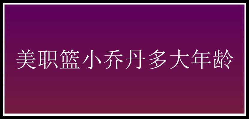 美职篮小乔丹多大年龄