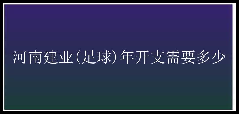 河南建业(足球)年开支需要多少