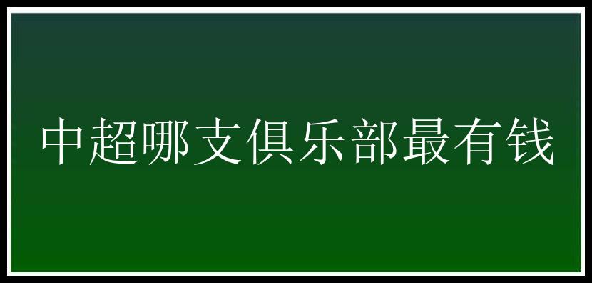 中超哪支俱乐部最有钱