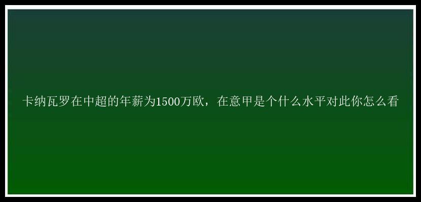 卡纳瓦罗在中超的年薪为1500万欧，在意甲是个什么水平对此你怎么看