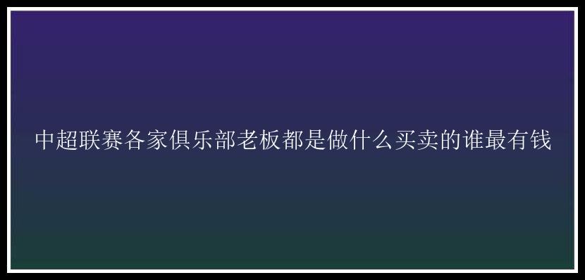 中超联赛各家俱乐部老板都是做什么买卖的谁最有钱