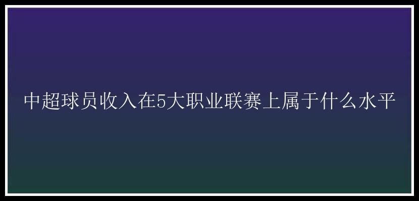 中超球员收入在5大职业联赛上属于什么水平