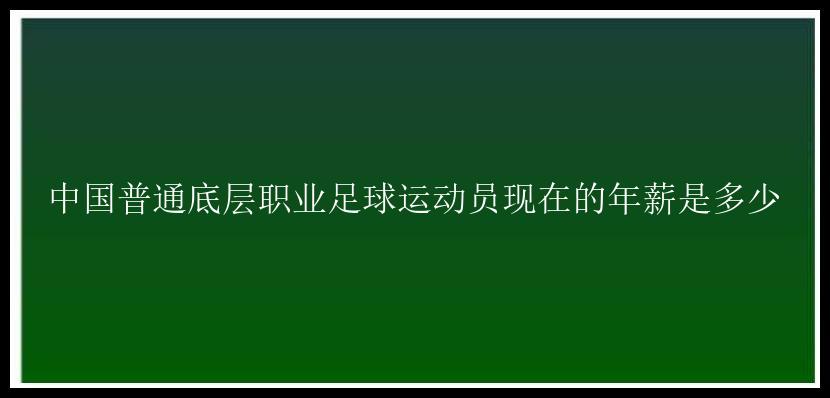 中国普通底层职业足球运动员现在的年薪是多少