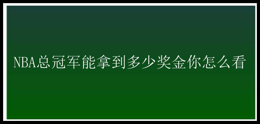 NBA总冠军能拿到多少奖金你怎么看