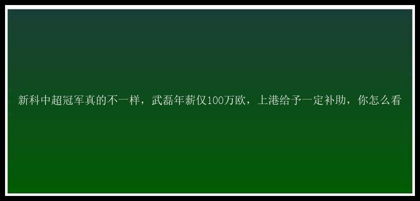 新科中超冠军真的不一样，武磊年薪仅100万欧，上港给予一定补助，你怎么看