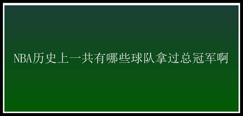 NBA历史上一共有哪些球队拿过总冠军啊