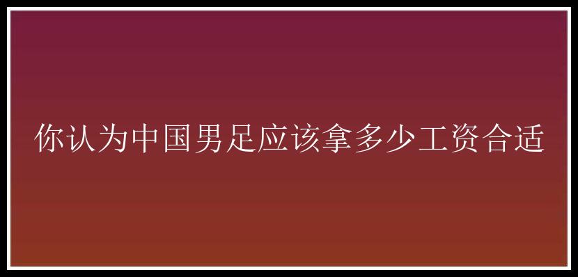 你认为中国男足应该拿多少工资合适