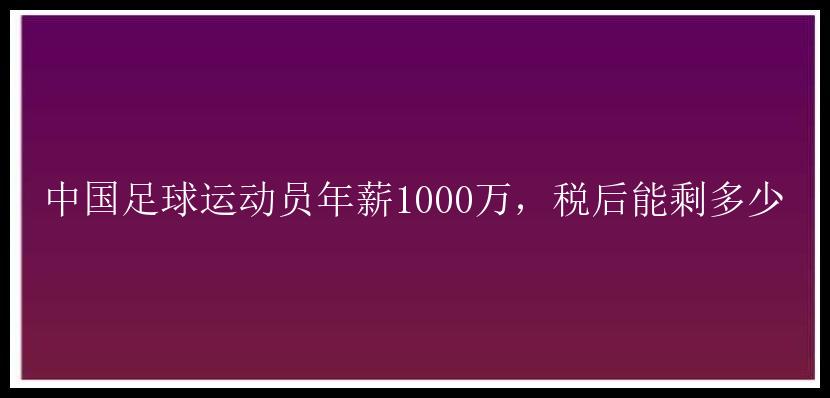 中国足球运动员年薪1000万，税后能剩多少