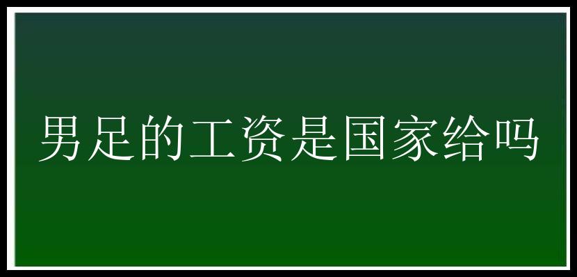 男足的工资是国家给吗