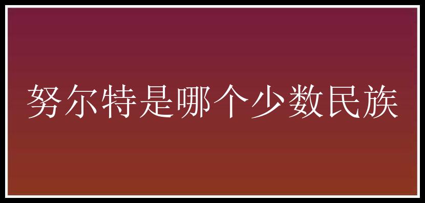 努尔特是哪个少数民族