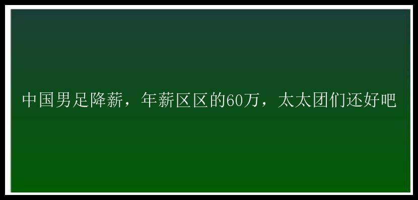 中国男足降薪，年薪区区的60万，太太团们还好吧