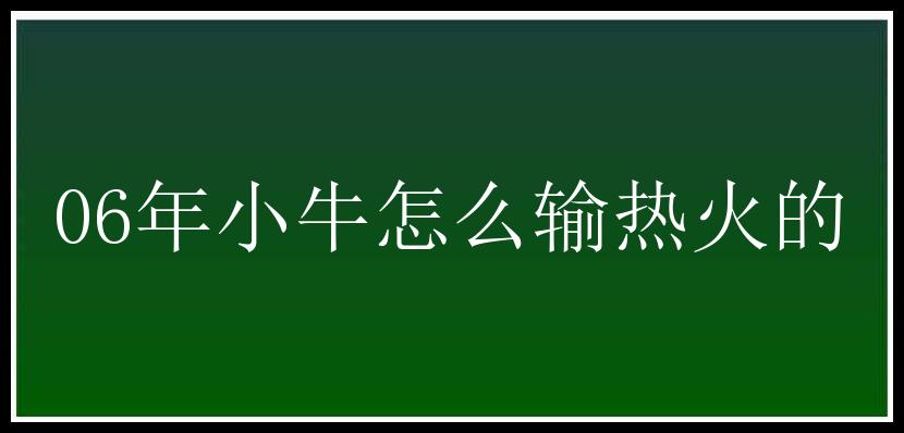 06年小牛怎么输热火的