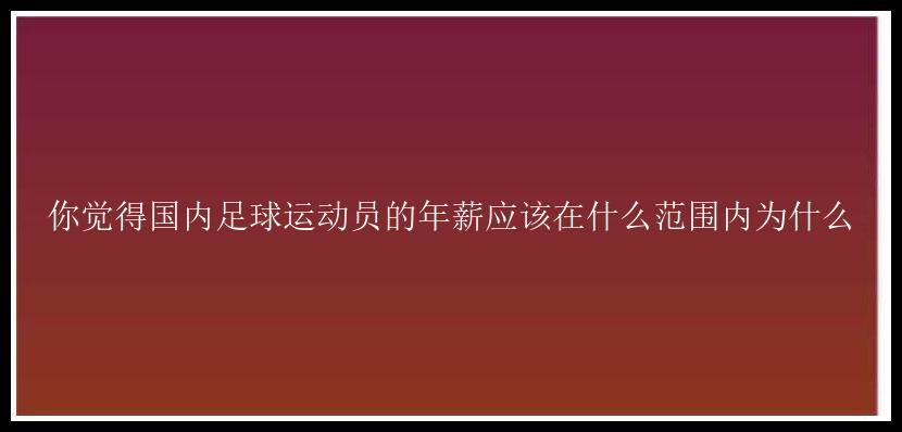 你觉得国内足球运动员的年薪应该在什么范围内为什么