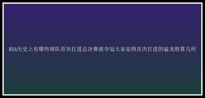 NBA历史上有哪些球队首次打进总决赛就夺冠大家觉得首次打进的猛龙胜算几何