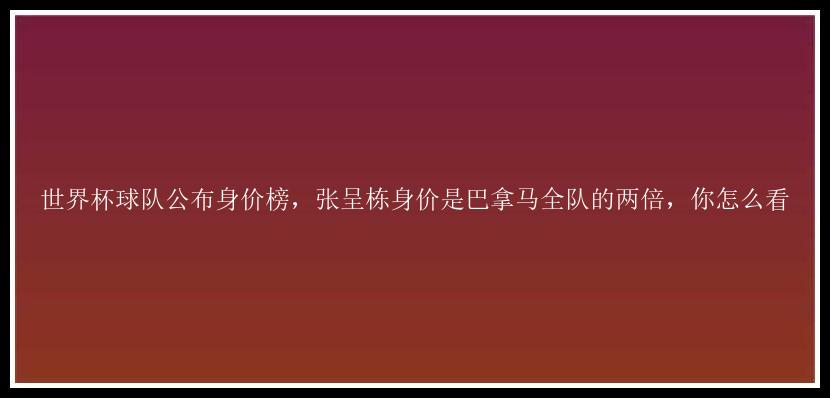 世界杯球队公布身价榜，张呈栋身价是巴拿马全队的两倍，你怎么看