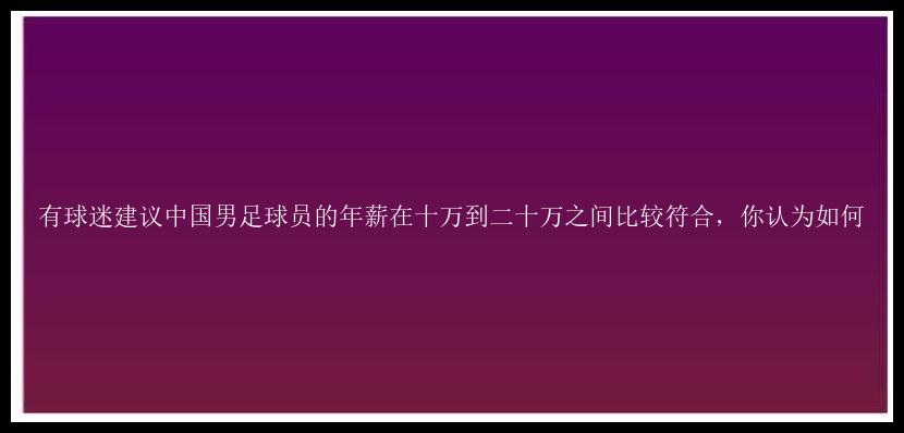 有球迷建议中国男足球员的年薪在十万到二十万之间比较符合，你认为如何