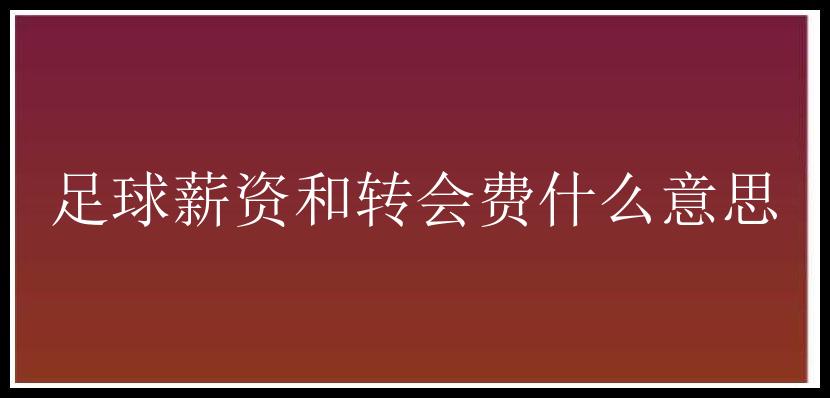 足球薪资和转会费什么意思