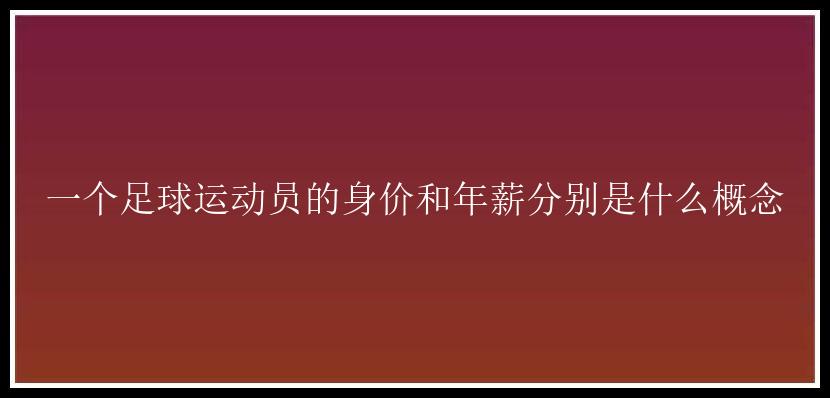 一个足球运动员的身价和年薪分别是什么概念