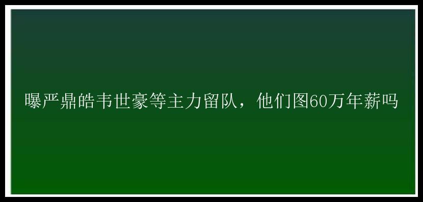 曝严鼎皓韦世豪等主力留队，他们图60万年薪吗