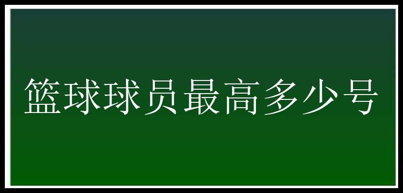 篮球球员最高多少号