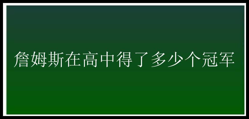 詹姆斯在高中得了多少个冠军