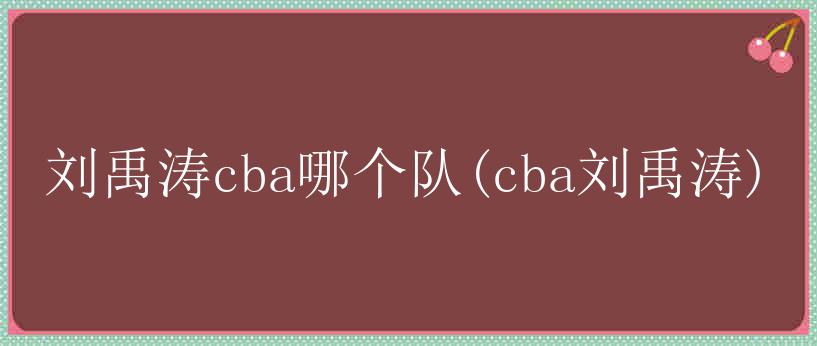 刘禹涛cba哪个队(cba刘禹涛)