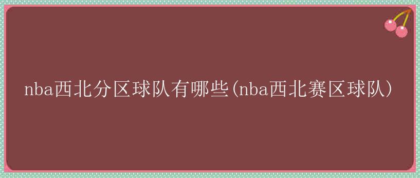 nba西北分区球队有哪些(nba西北赛区球队)