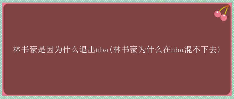 林书豪是因为什么退出nba(林书豪为什么在nba混不下去)