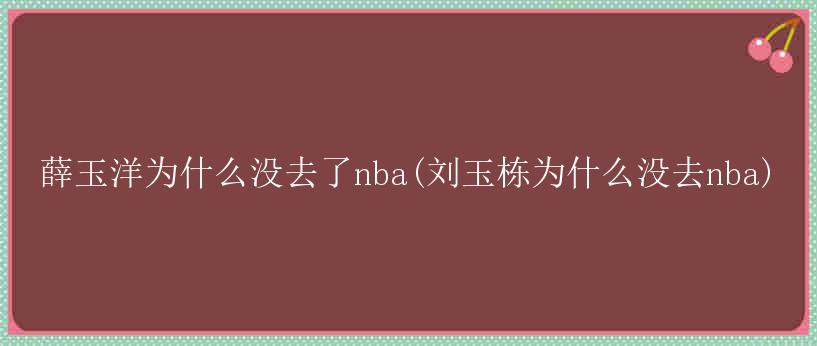 薛玉洋为什么没去了nba(刘玉栋为什么没去nba)