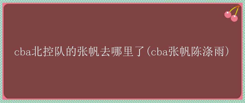 cba北控队的张帆去哪里了(cba张帆陈涤雨)