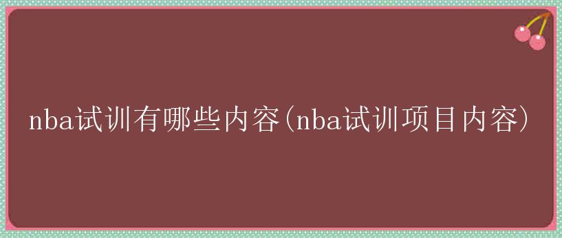 nba试训有哪些内容(nba试训项目内容)