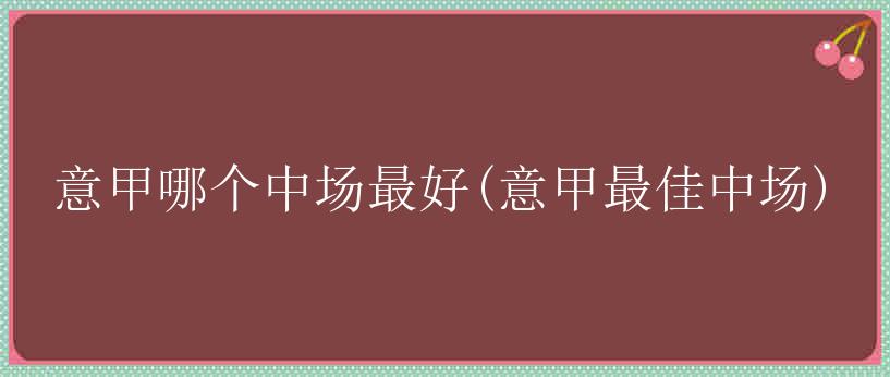 意甲哪个中场最好(意甲最佳中场)